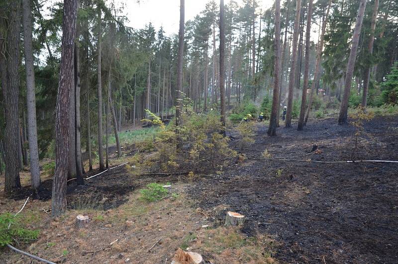 Požár lesa u Úhonic.