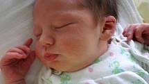 Dcera Anna se narodila 21. listopadu Lucii a Lubošovi Pechovým z Málkova. Jejich holčička vážila 3350 gramů a měřila rovných 50 centimetrů. Doma má již sestru Julii