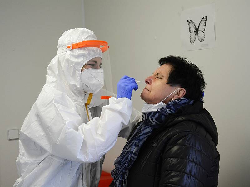 PCR testování ve Středočeském kraji, ilustrační foto. 