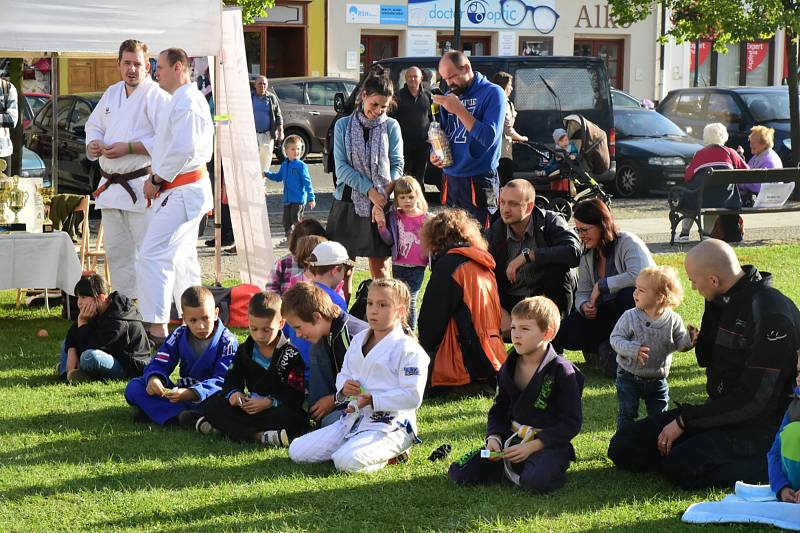 Město Beroun se zaměřilo na prevenci kriminality a sebeobranu dětí i dospělých.  Na Husově náměstí se v úterý konala akce  zaměřená na sebeobranu dětí.  Pro mnohé účastníky akce byla zároveň dobrou inspirací k využití volného času.