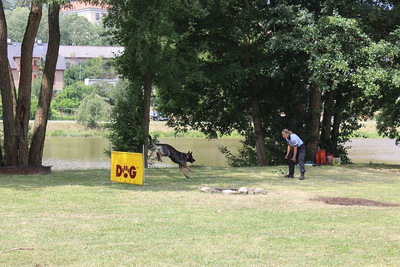 Návštěvníci mohli vidět například ukázku policejních psovodů.