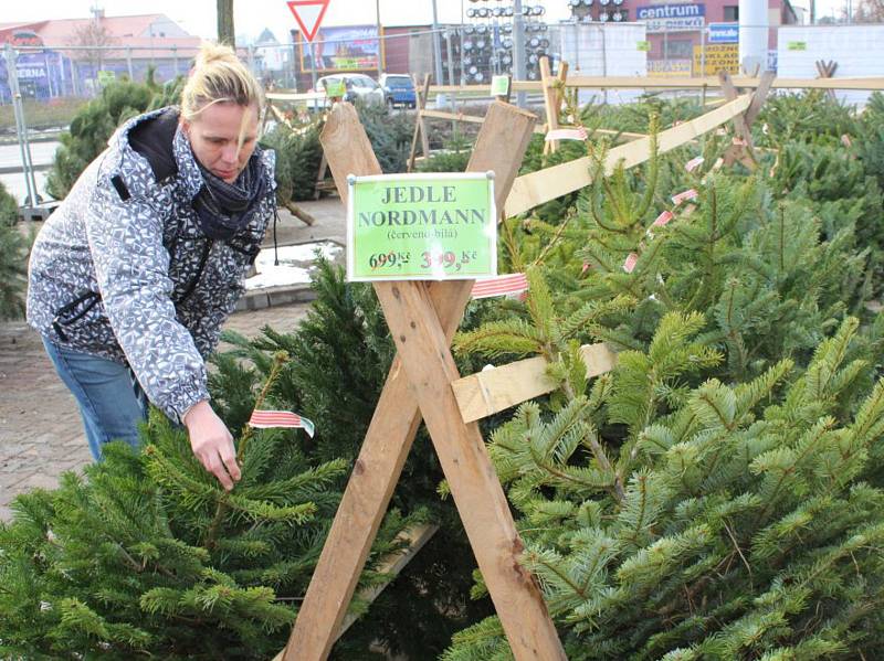 Lidé kupují hlavně vysoké stromky.