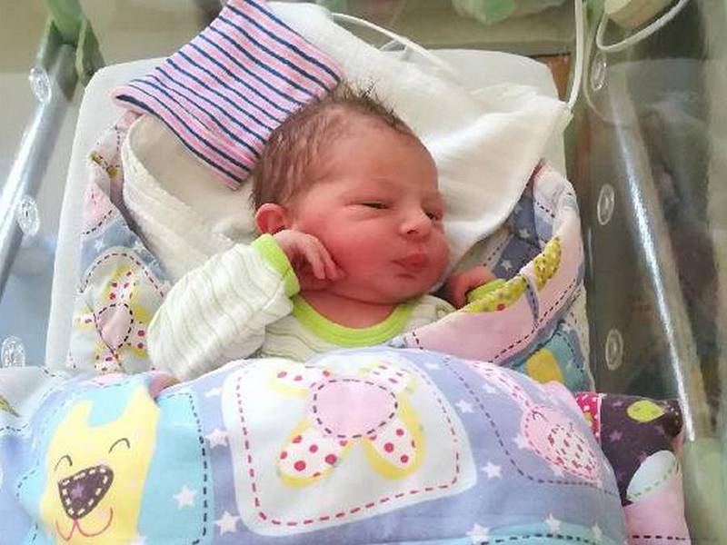 Manželům Monice a Antonínovi Hejnovým z Homole, se 15. listopadu 2018 narodilo první dítko, syn Matyáš. Matyášek vážil po příchodu na svět 3,80 kg a měřil 49 cm.