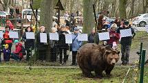 Z oslavy dvacátých narozenin medvědů Kuby a Matěje v areálu medvědária na Městské hoře v Berouně.