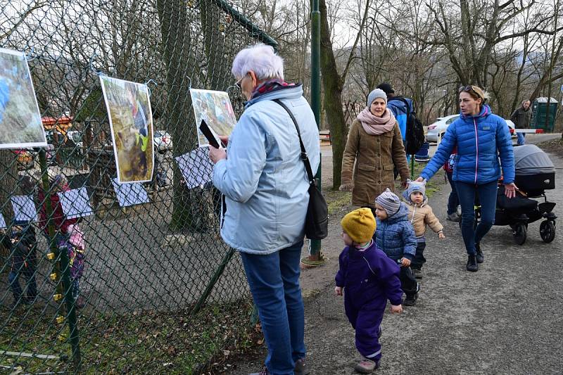 Z oslavy dvacátých narozenin medvědů Kuby a Matěje v areálu medvědária na Městské hoře v Berouně.