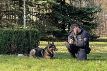 Policejní psovod Ondřej Pohl s Harrym, sedmiletým služebním německým ovčákem.