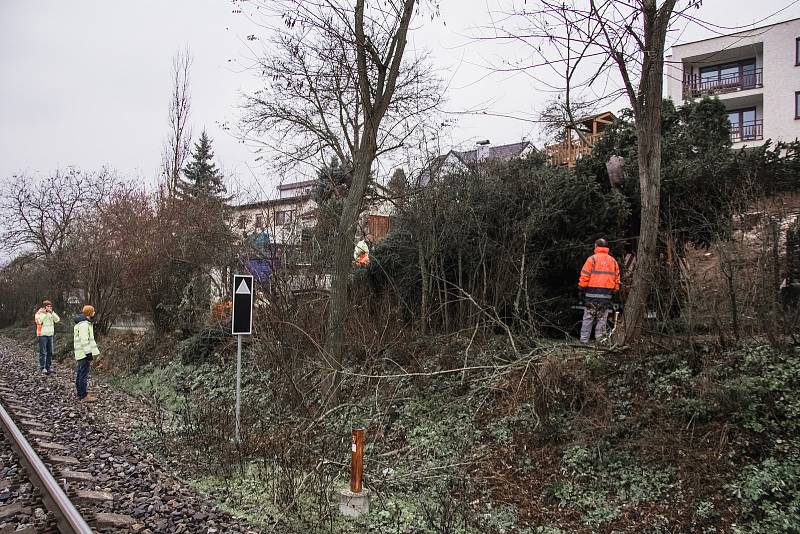 Kácení a transport vánočního smrku pro město Beroun