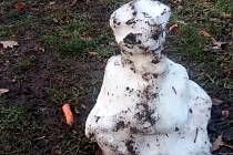 Pozůstatky sněhuláka v berounském parku mezi hřbitovem a hasičskou stanicí.
