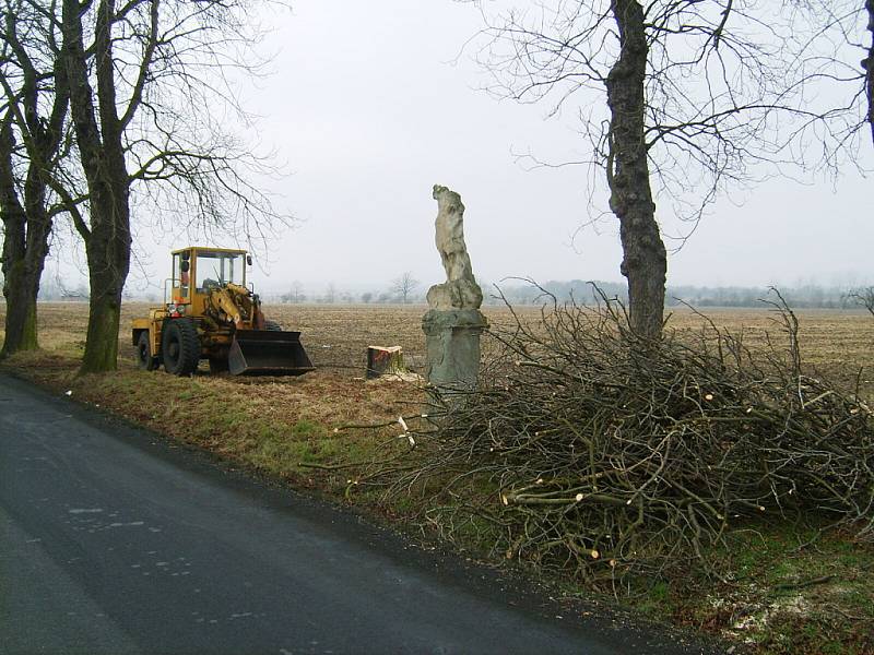 Stromořadí kaštanů u Skřiple