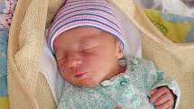 Velkou radost má tříletá Alenka z Tlustice, které rodiče Kateřina a Adam pořídili sestřičku Petru. Petruška se narodila 27. prosince 2019 a vážila 2,84 kg.