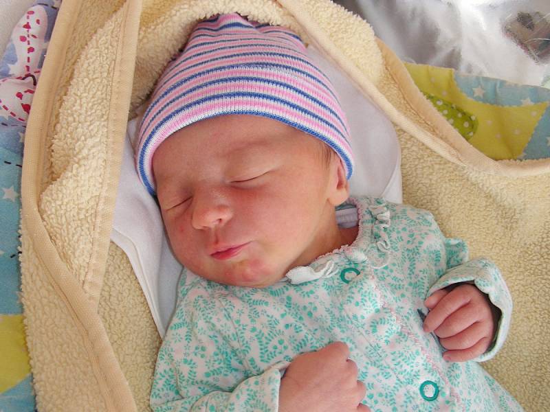Velkou radost má tříletá Alenka z Tlustice, které rodiče Kateřina a Adam pořídili sestřičku Petru. Petruška se narodila 27. prosince 2019 a vážila 2,84 kg.