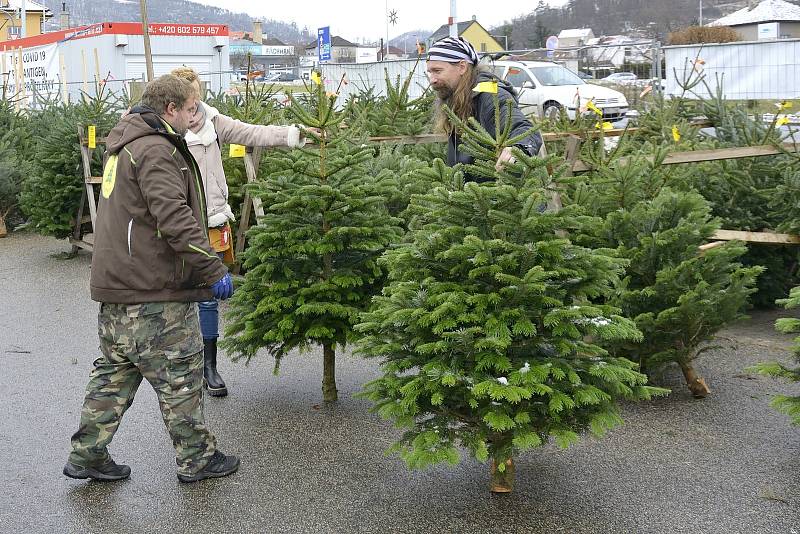 Prodej vánočních stromů v berounské ulici Obchodní