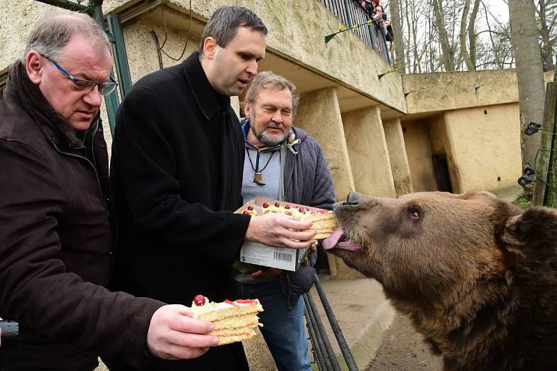 Z oslavy dvacátých narozenin medvědů Kuby a Matěje v areálu medvědária na Městské hoře v Berouně.