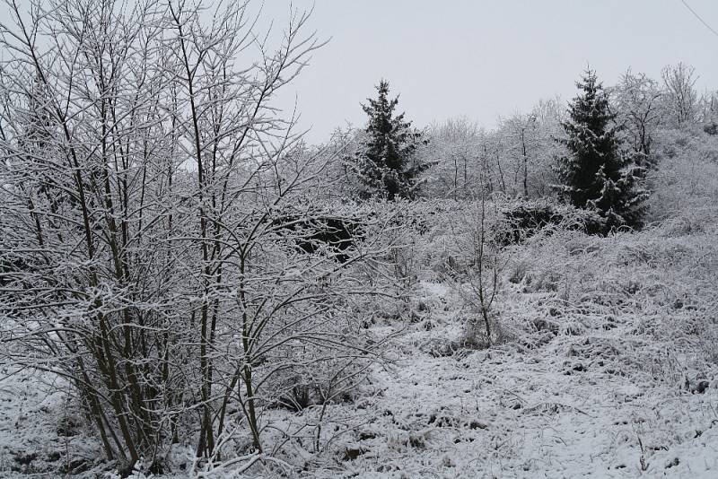 Zasněžená krajina při pohledu ze školní družiny.