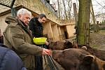 Berounští medvědí bratři oslavili 22. narozeniny. Popřát jim přijel i režisér Václav Chaloupek.