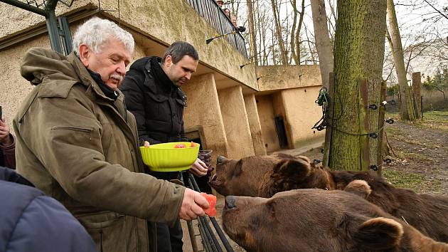 Berounští medvědí bratři oslavili 22. narozeniny. Popřát jim přijel i režisér Václav Chaloupek.