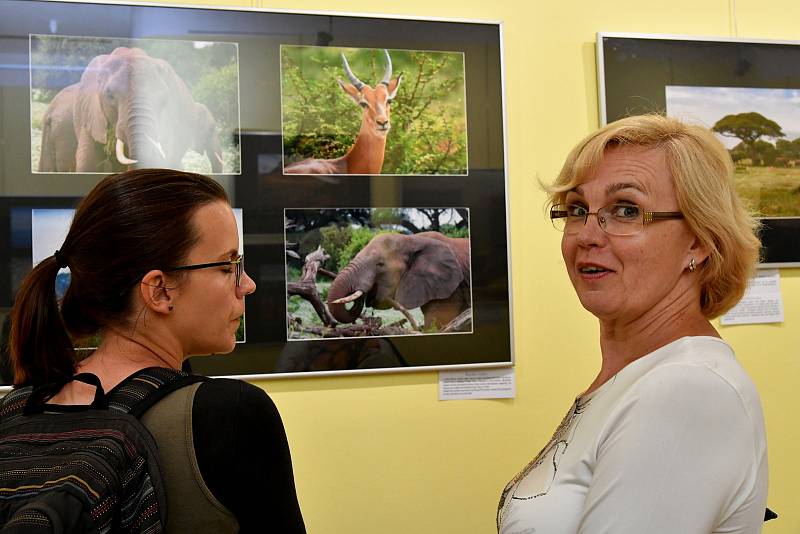 Vernisáž výstavy Martina Tománka v síni Holandského domu.