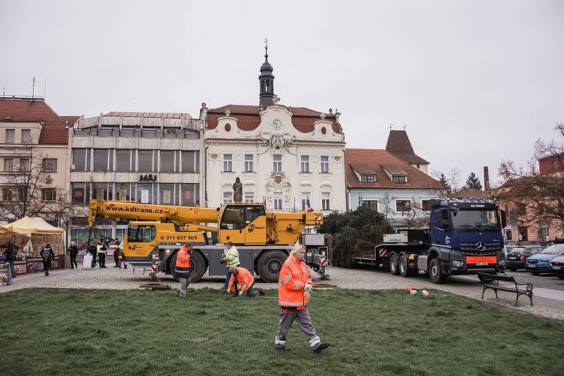 Kácení a transport vánočního smrku pro město Beroun