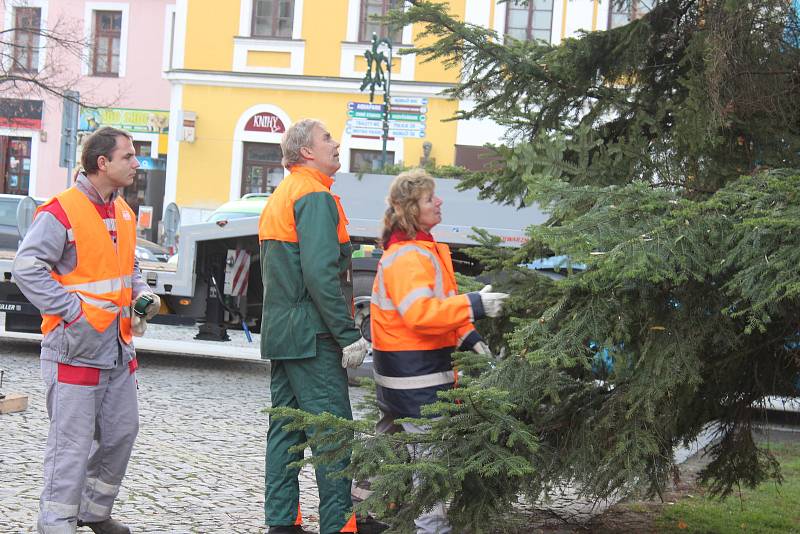 Centrum Berouna už zdobí nový vánoční strom. Letos je jím smrk z Vančurovy ulice.