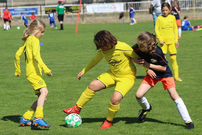 Na trávníku FK Olympie Zdice se za účasti týmů z Příbrami, Kladna, Berouna, Mělníka a Prahy-západ uskutečnil turnaj okresních výběrů dívek v kategorii starších přípravek (U11)