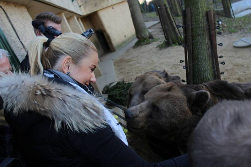 Medvědi z berounské Městské hory slavili 15. narozeniny.