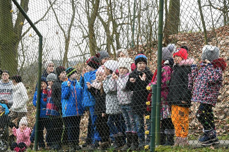 Z oslavy dvacátých narozenin medvědů Kuby a Matěje v areálu medvědária na Městské hoře v Berouně.