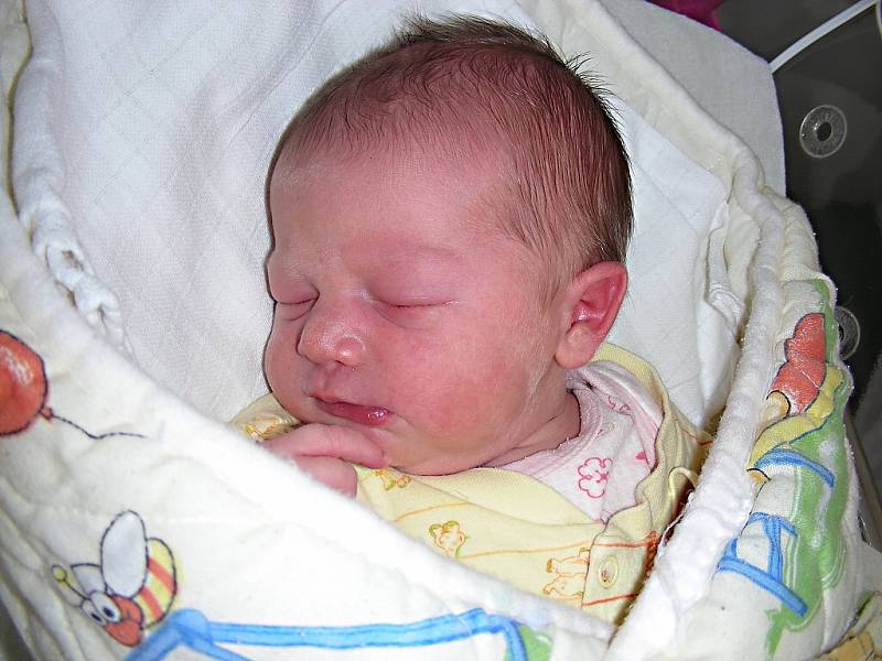 V neděli 25. května 2014 se manželům Barboře a Karlovi Sechovcovým z Hýskova narodila druhá holčička a rodiče jí dali jméno Karolína. Holčička vážila po porodu 3,53 kg a měřila rovných 50 cm. Karolínka bude vyrůstat se sestřičkou Zuzankou (2 roky). 