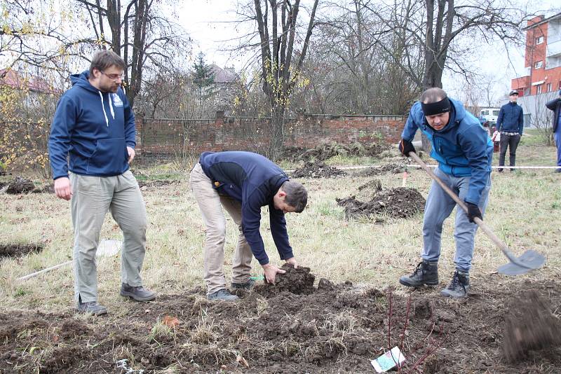 Z budování komunitního parku v Berouně Na Paloučku.