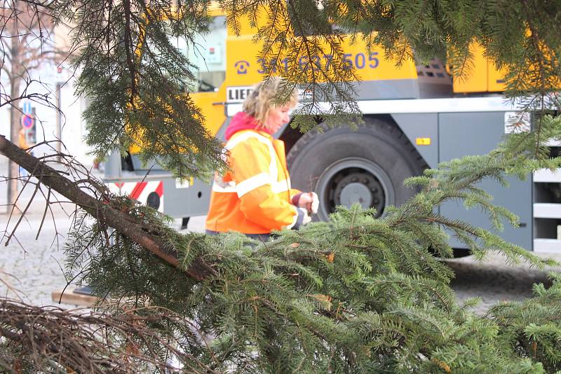 Centrum Berouna už zdobí nový vánoční strom. Letos je jím smrk z Vančurovy ulice.