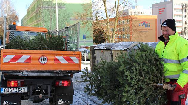 Vánoční stromy končí u kontejneru