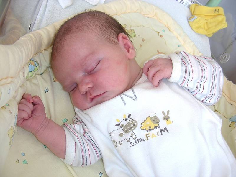Barboře Andělové a Miroslavu Maškovi se ve čtvrtek 27. června narodilo první dítě, dcera Rozárie Mašková. Rozárka po porodu vážila 3,96 kg a měřila 52 cm. Rodiče už pro dceru připravili postýlku doma ve Vonoklasech.