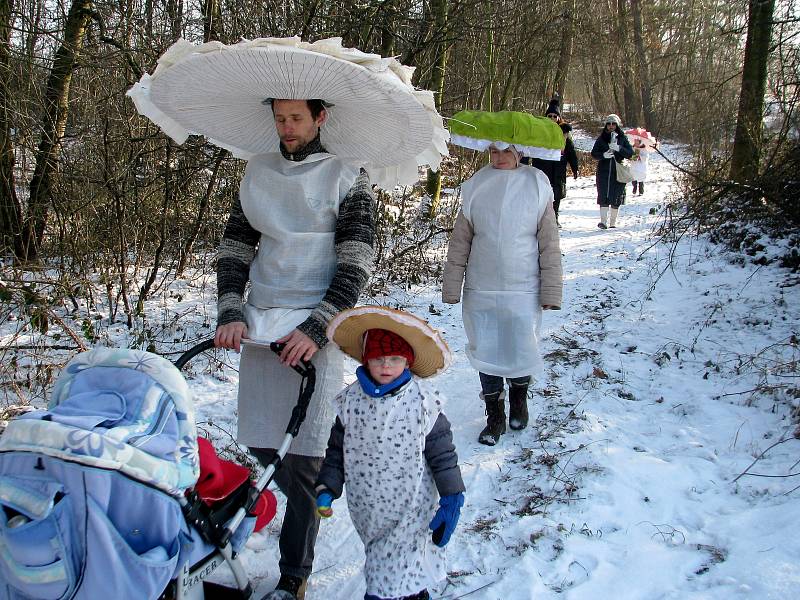 Svinařský masopust 2017