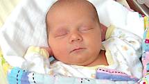 TŘETÍ holčička se narodila 8. června 2017 manželům Lucii a Davidovi Trýbovým z Mezouně. Dcerka dostala jméno Štěpánka a po narození měla míry 48 cm a 2,94 kg. Kočárek se Štěpánkou budou vozit sestřičky Evička (5) a Barunka (2). 
