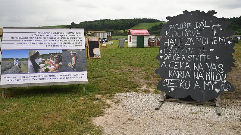 Z levandulového údolí poblíž Chodouně na Berounsku.