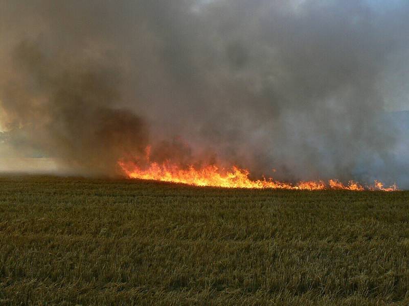 Poláž pole ve Žloukovicích na Berounsku ohrozil lidi v chatové osadě