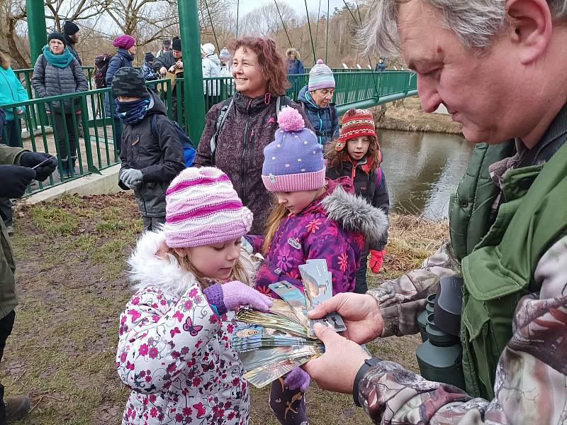 Vycházka s rokycanskými ochránci přírody vedla především za opeřenci.