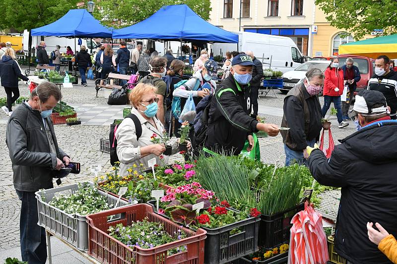 Na berounském trhu prodejci nabízeli především zeleninu a květinovou i zeleninovou sadbu.