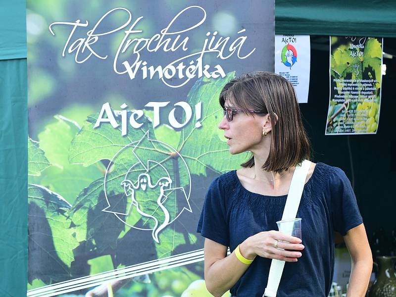 Z hudebního festivalu Berounské letorosty.