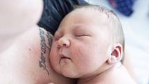 Aurelie Hirnerová z Lysé nad Labem se narodila v nymburské porodnici 8. června 2021 v 13.28 hodin s váhou 3950 g a mírou 50 cm. Z holčičky se radují maminka Klára, tatínek Jan a bráška Teodor (2 roky).