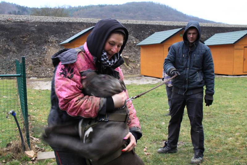 Psi mohou nově trénovat s páníčky v kempu Plešivec.