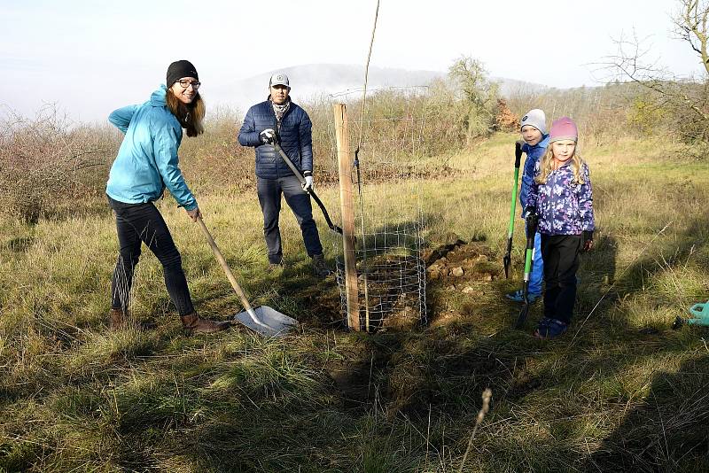 Spolek Berounská zeleň uspořádal další sázení ovocných stromků.