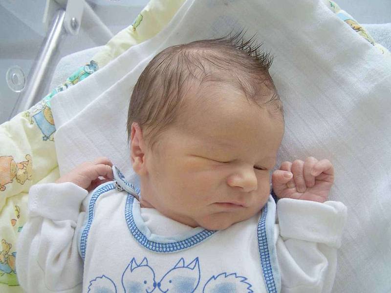 Syn David se narodil 31. 8. rodičům Heleně Bohunové a Luďkovi Ciprovi z Berouna. Po narození vážil chlapeček 3,46 kg a měřil 52 cm. Sourozenci Tomáš a Luděk mají ze svého brášky velkou radost.