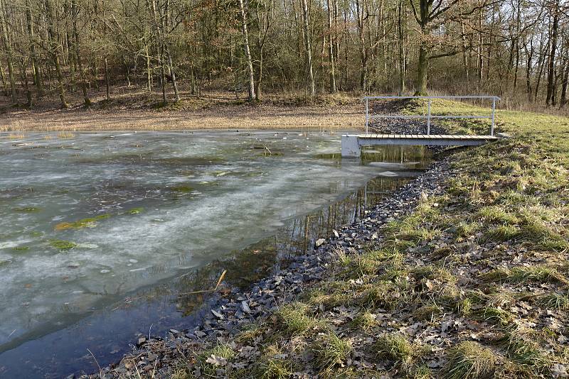 Rybník Drebec po rekonstrukci. Únor 2021