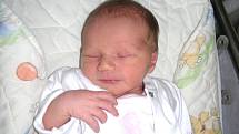 Tak už mě tu máte. Jmenuji se Gulia Padovan, na svět jsem přišla 9. dubna 2016 a jsem prvním miminkem maminky Dereky a tatínka Alana z Hostivic. Moje porodní míra byla 50 cm a 3,40 kg. 