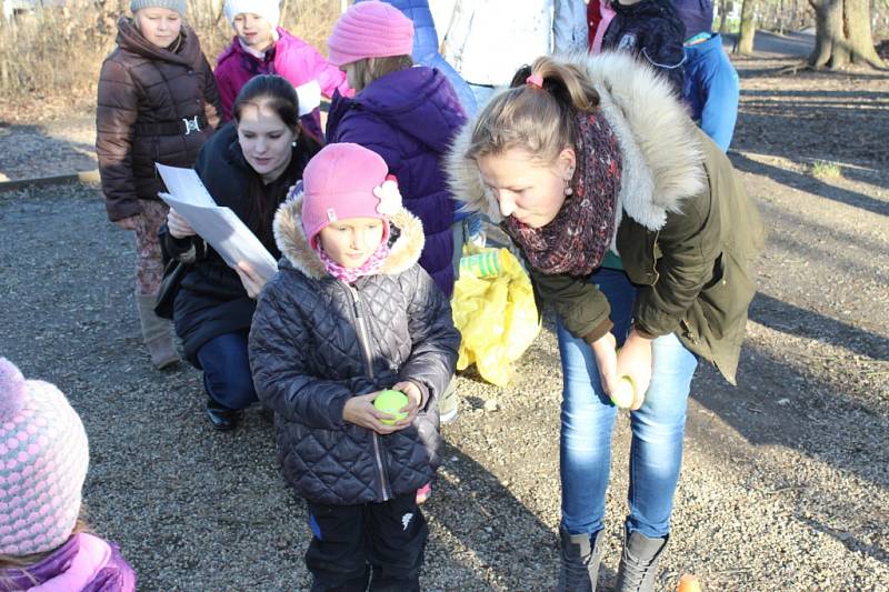 Medvědi z berounské Městské hory slavili 15. narozeniny.