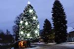 Vánoční strom v obci Olešná.