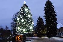 Vánoční strom v obci Olešná.
