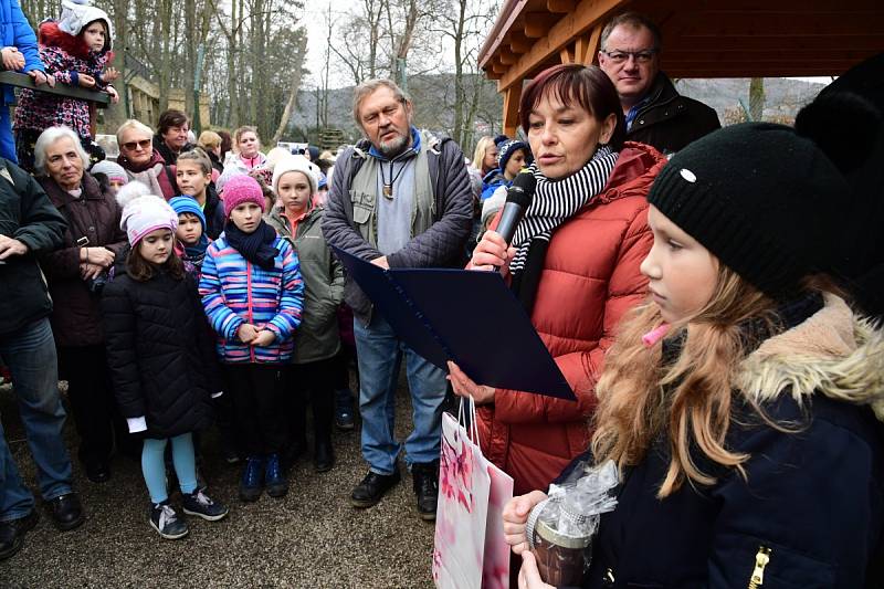 Z oslavy dvacátých narozenin medvědů Kuby a Matěje v areálu medvědária na Městské hoře v Berouně.