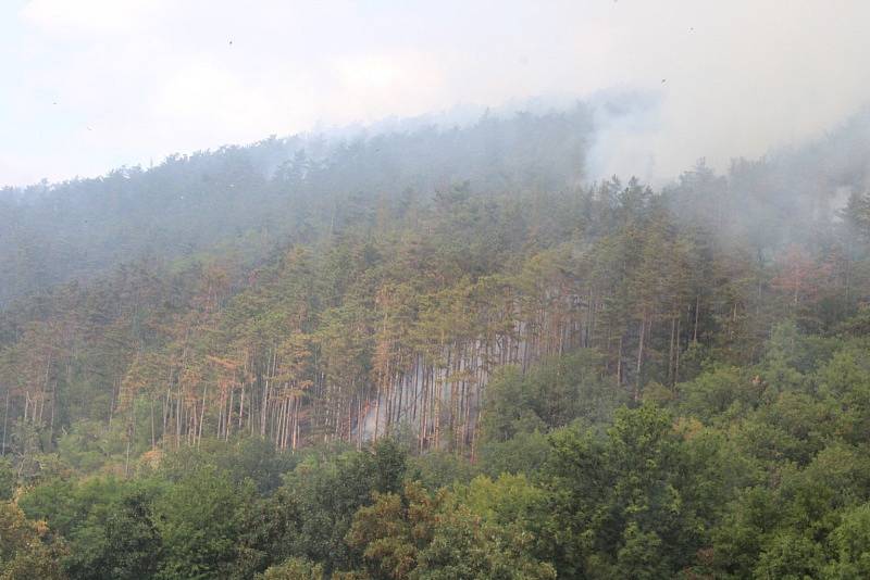 K požáru lesa u obce Chodouň o rozloze zhruba až pět hektarů museli hasiči přivolat vojenský vrtulník.