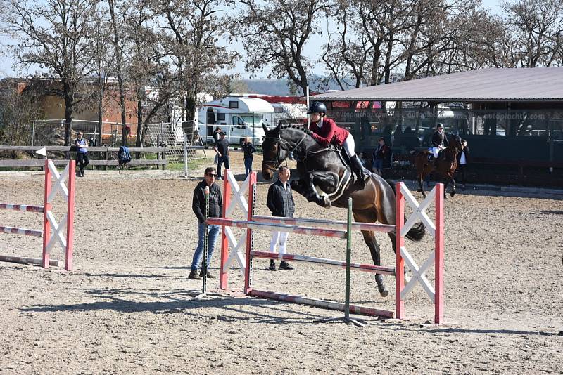 Při závodech vynikne souhra koně a jezdce.